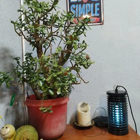 Vandrarhem Sleep&go Lviv