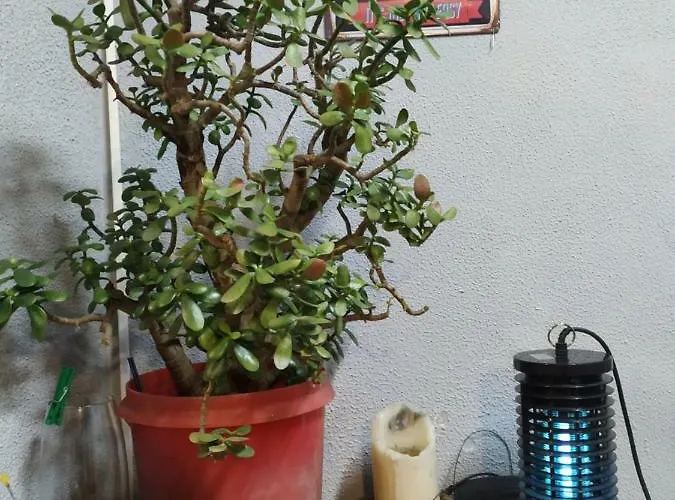 ホステル Sleep&go リヴィウ