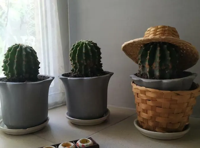 Sleep&go بيت شباب